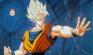 Goku065.jpg