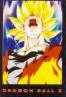 Goku078.jpg