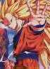 Goku093.jpg